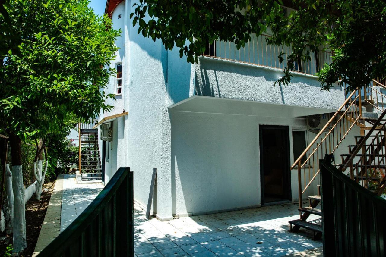 Ali Lvv Zajazd Kemer